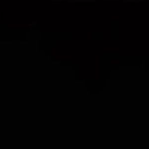 Meet your Posher, Trailxkingx2